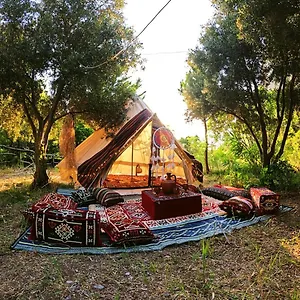 https://butterfly-valley-glamping.aegeanhotels.net